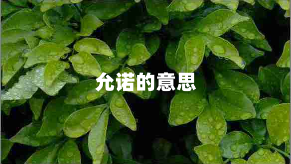 允諾的意思