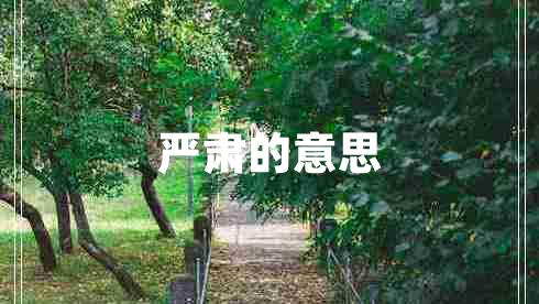 嚴肅的意思
