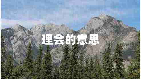 理會(huì )的意思