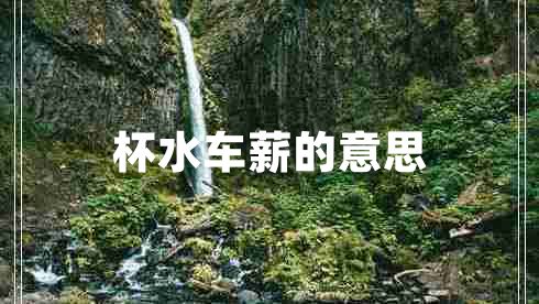 杯水車(chē)薪的意思