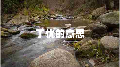 丁憂(yōu)的意思