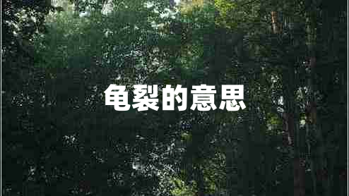 龜裂的意思
