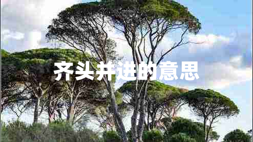 齊頭并進(jìn)的意思