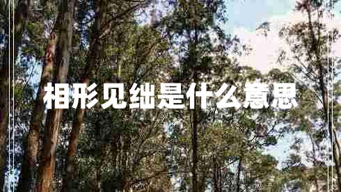 相形見(jiàn)絀是什么意思