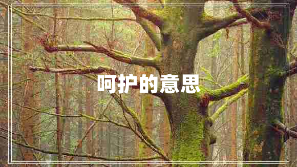 呵護的意思