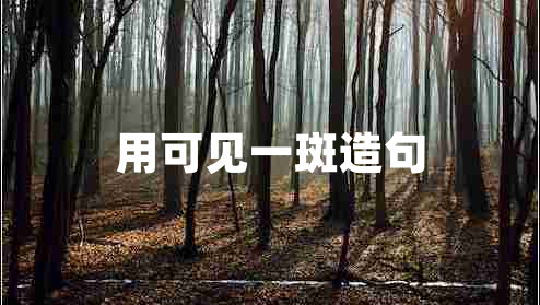 用可見(jiàn)一斑造句