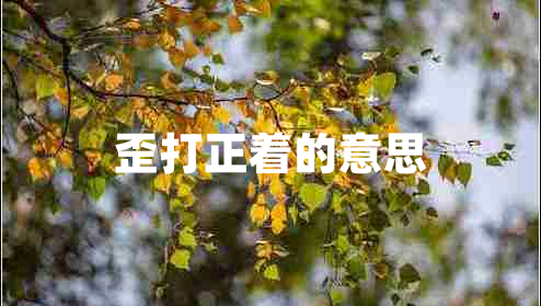 歪打正著(zhù)的意思