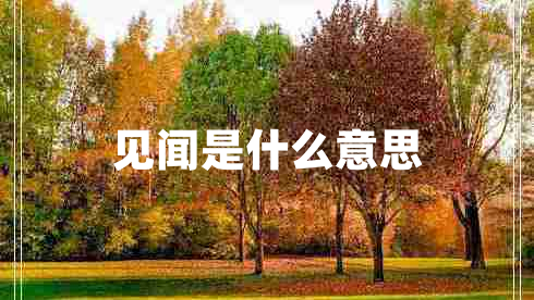 見(jiàn)聞是什么意思