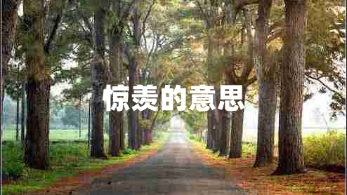 驚羨的意思