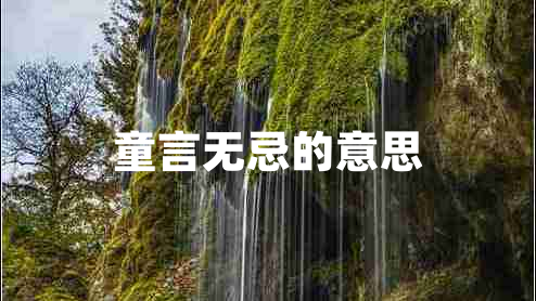 童言無(wú)忌的意思
