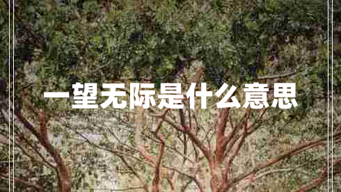 一望無(wú)際是什么意思