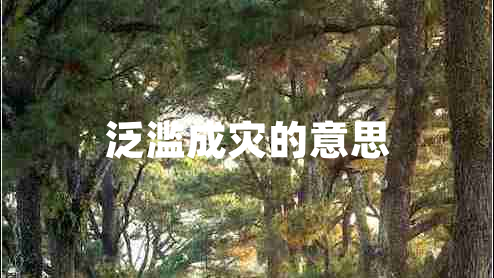 泛濫成災的意思