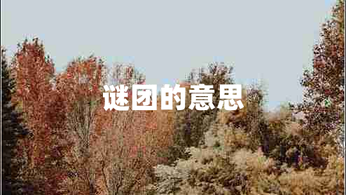 謎團的意思