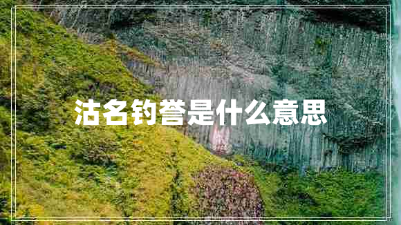 沽名釣譽(yù)是什么意思