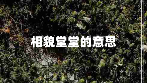 相貌堂堂的意思