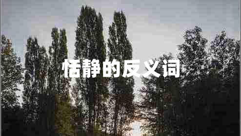 恬靜的反義詞