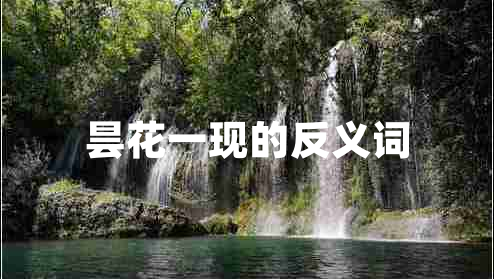 曇花一現的反義詞