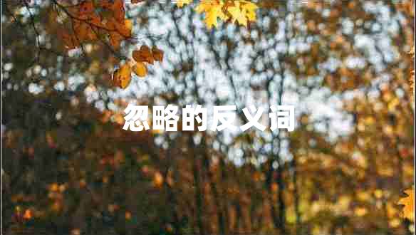 忽略的反義詞