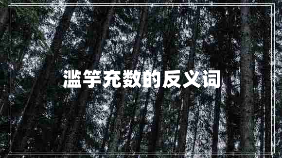 濫竽充數的反義詞