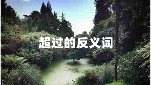 超過(guò)的反義詞
