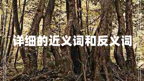 詳細的近義詞和反義詞