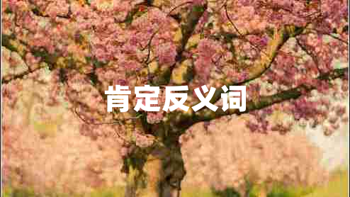 肯定反義詞