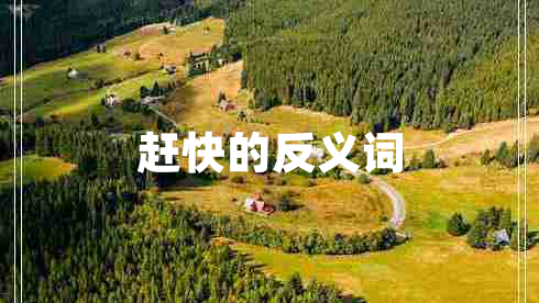 趕快的反義詞
