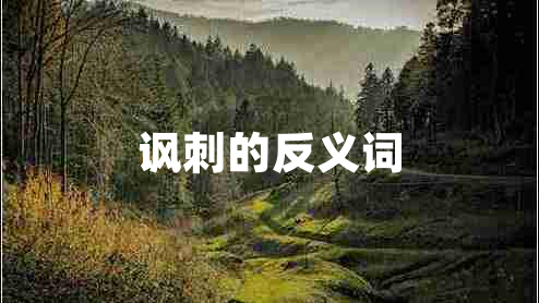 諷刺的反義詞