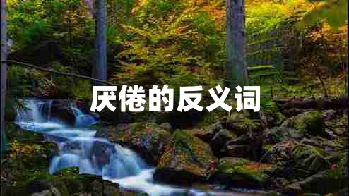 厭倦的反義詞