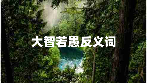 大智若愚反義詞