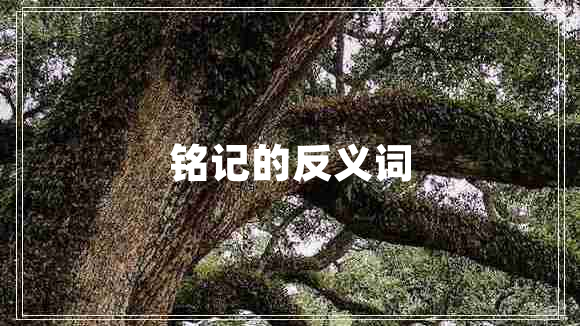 銘記的反義詞