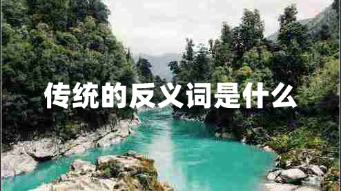 傳統的反義詞是什么