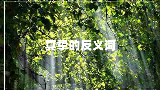 真摯的反義詞