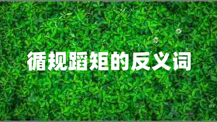 循規蹈矩的反義詞
