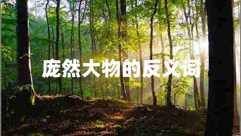 龐然大物的反義詞