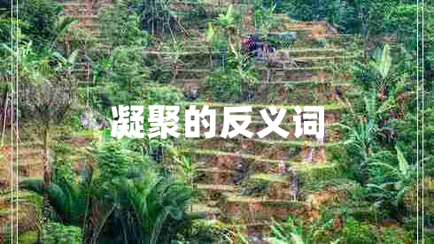 凝聚的反義詞