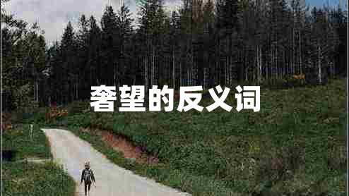 奢望的反義詞