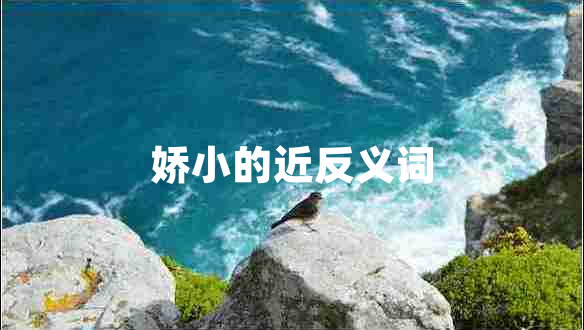 嬌小的近反義詞