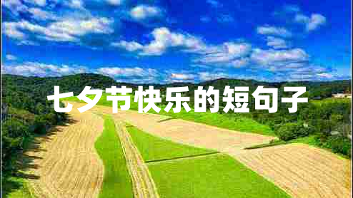 七夕節快樂(lè )的短句子