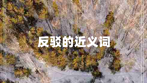 反駁的近義詞
