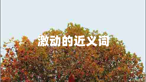 激動(dòng)的近義詞