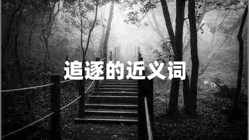 追逐的近義詞