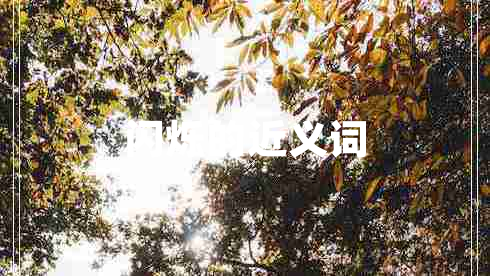 閃爍的近義詞