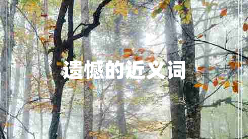 遺憾的近義詞