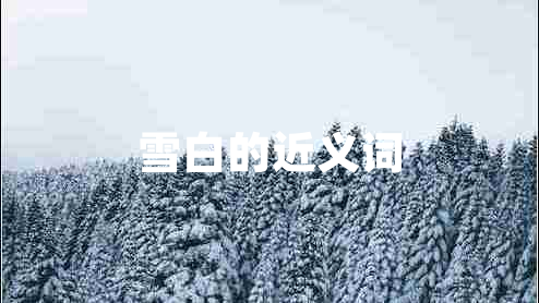 雪白的近義詞