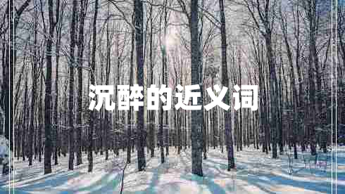 沉醉的近義詞