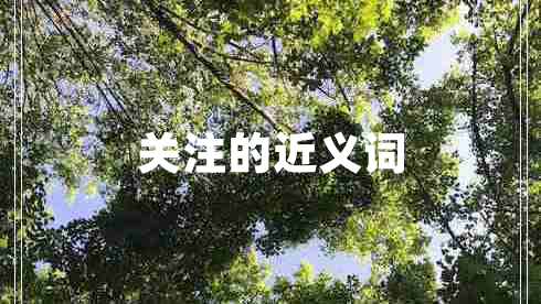 關注的近義詞
