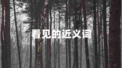 看見的近義詞