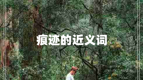 痕跡的近義詞