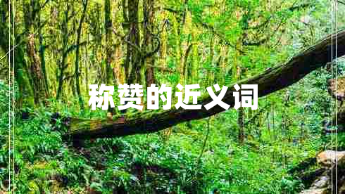 稱贊的近義詞